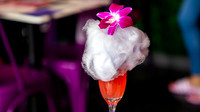 125_CottonCandyMimosa_LeCoco_004E
